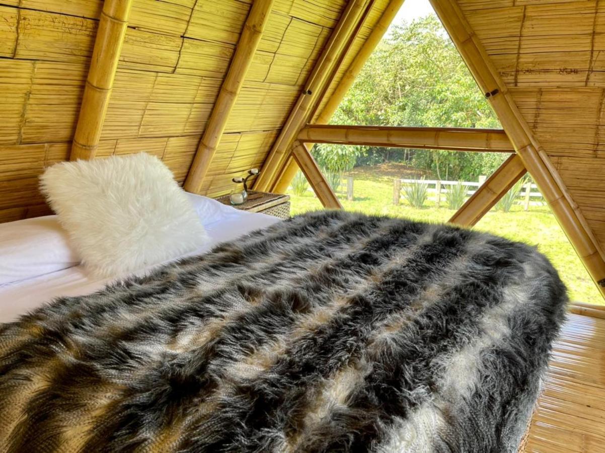 Glamping La Herradura Santa Rosa de Cabal Εξωτερικό φωτογραφία