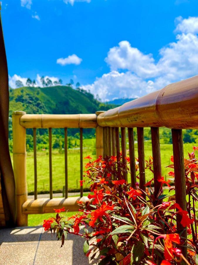 Glamping La Herradura Santa Rosa de Cabal Εξωτερικό φωτογραφία