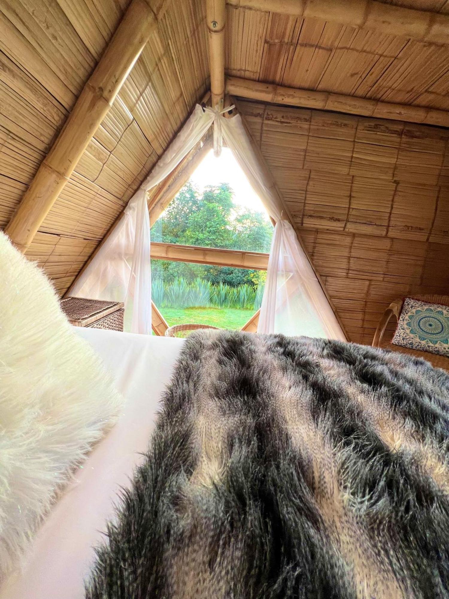 Glamping La Herradura Santa Rosa de Cabal Εξωτερικό φωτογραφία